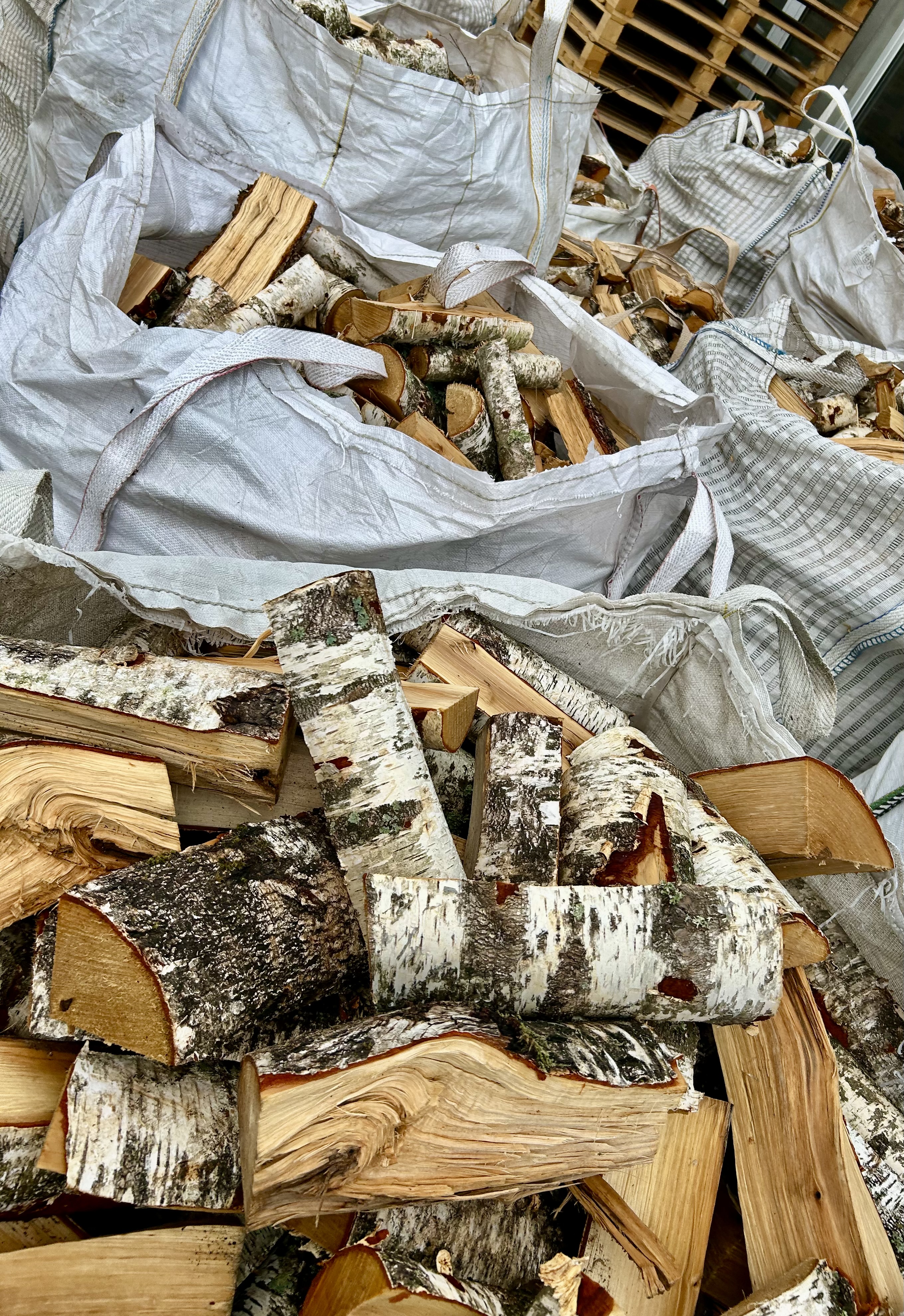 Młody grab o najwyższej kaloryczności
